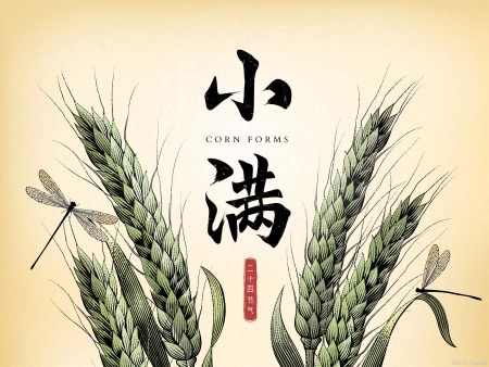 小满节气，天越来越热了，别忘吃这“健脑菜”，清热除湿补营养